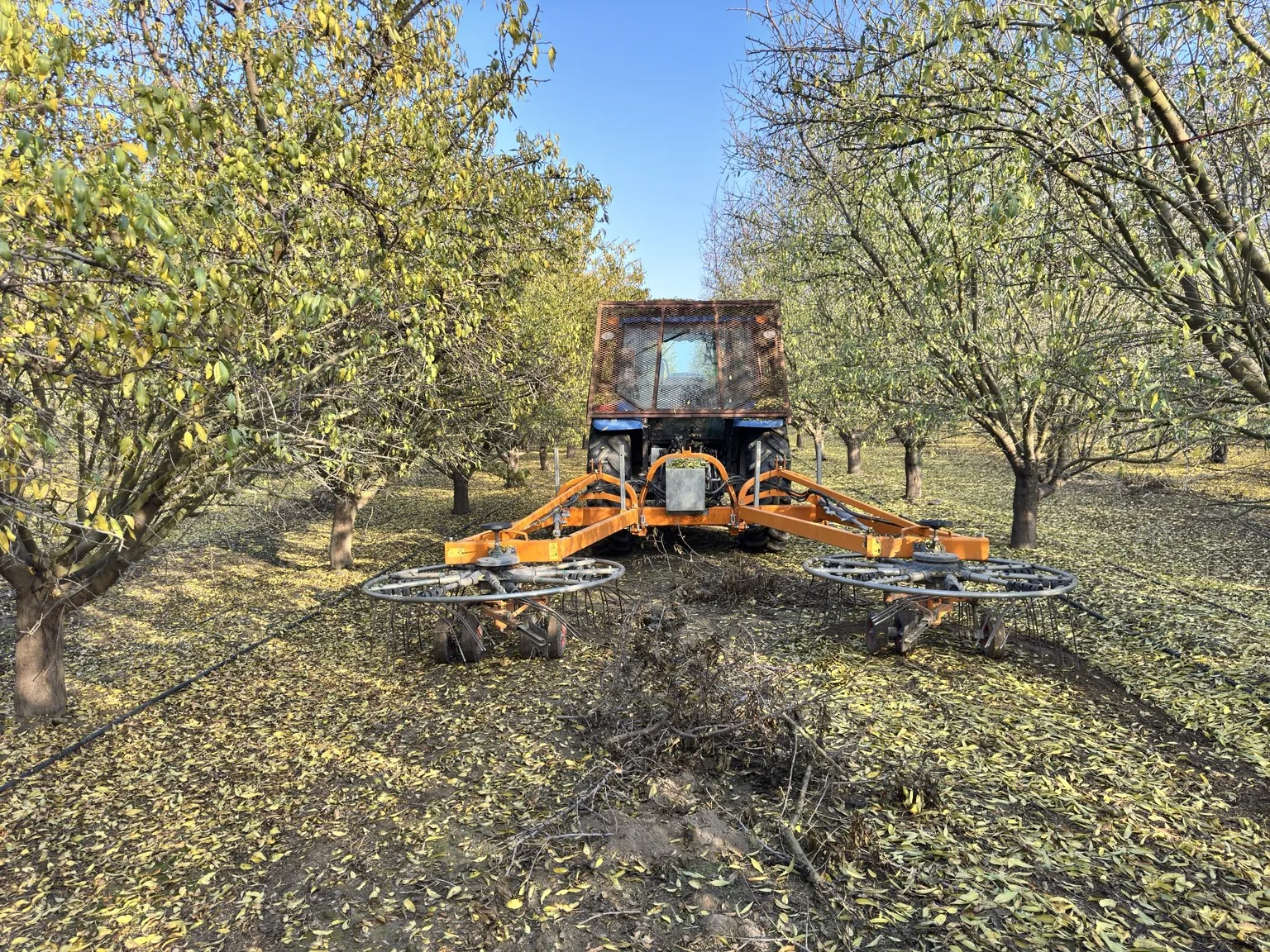 Mechanical brush rake gathering orchard debris