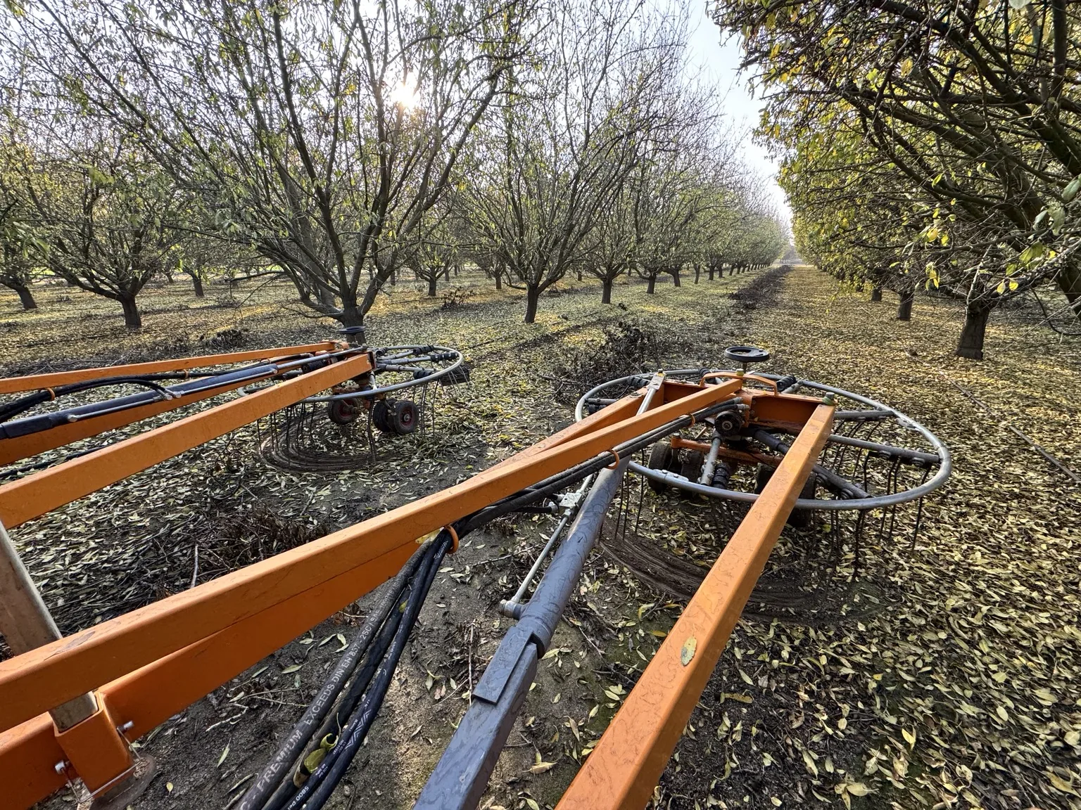 Brush rake windrowing cut orchard material